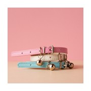 Dog and Cat Collar
