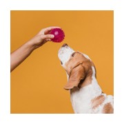 Toy for dogs and cats