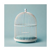 Volière - Cage oiseau