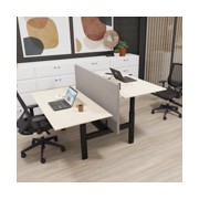 Sit-Stand Desks