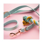 Collares - Arnés - Correas