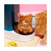 Hygienezubehör für Katzen