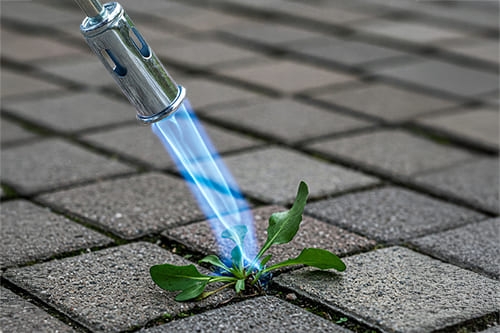 Pourquoi Choisir un Désherbeur Thermique ? 5 Raisons Qui Vont Vous Surprendre !