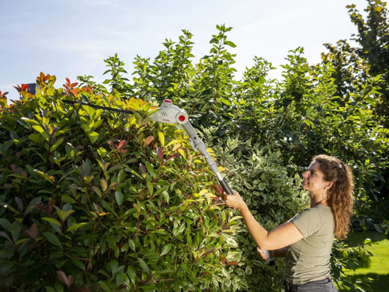 Comment bien choisir son modèle de taille-haie à batterie ? 