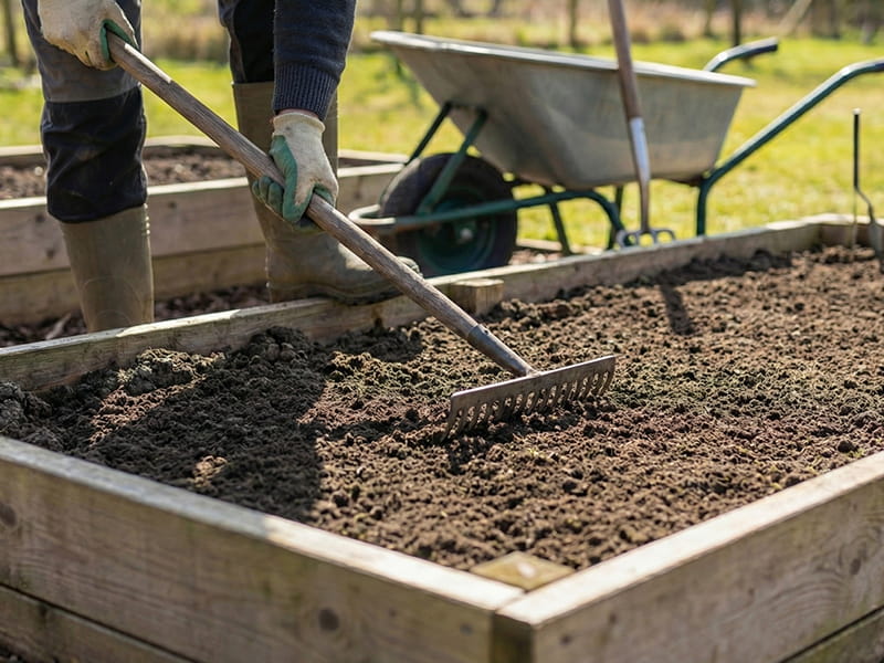 Comment préparer la terre du potager au printemps avec des outils de jardinage ?